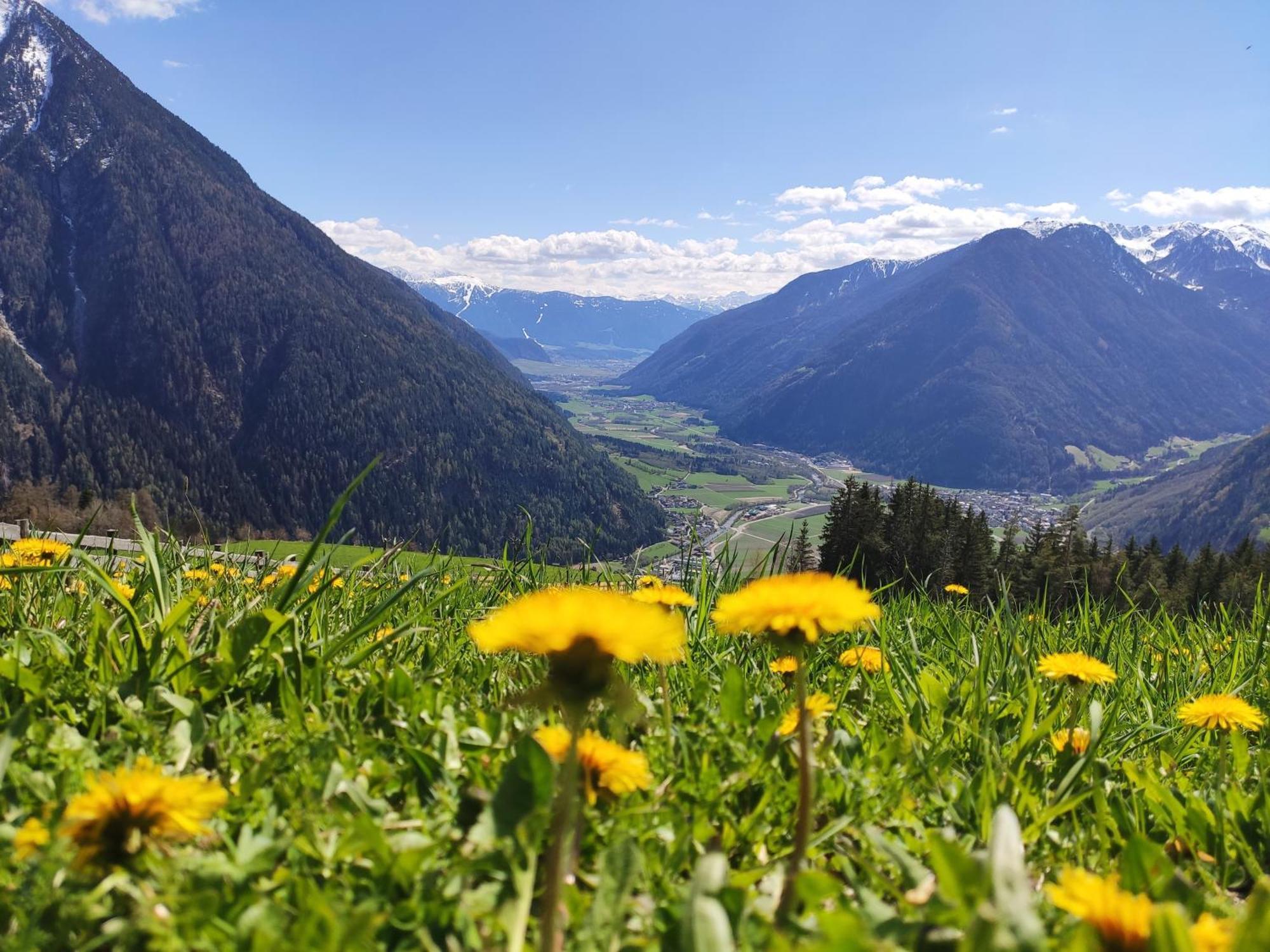 Roanerhof Aparthotel Campo Tures Luaran gambar