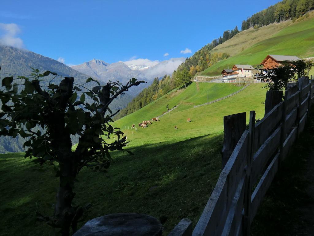 Roanerhof Aparthotel Campo Tures Bilik gambar